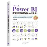 正版新书]Microsoft Power BI数据建模与可视化上手王国平978730