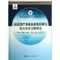 正版新书]河北省严重缺水系统识别与综合应对方略研究王建华9787