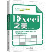 正版新书]Excel之美 迅速提高Excel数据能力的100个关键技能胡子