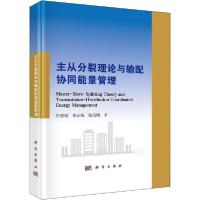 正版新书]主从分裂理论与输配协同能量管理孙宏斌9787030638311