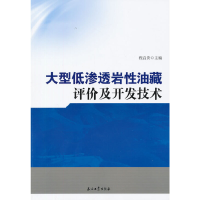 正版新书]大型低渗透岩性油藏评价及开发技术程启贵978751830454