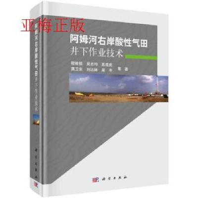 正版新书]阿姆河右岸酸性气田井下作业技术程维恒,吴志均,高成武