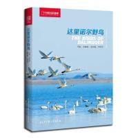 正版新书]达里诺尔野鸟邢莲莲、宋丽军9787500092957