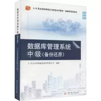 正版新书]数据库管理系统 中级(备份还原)武汉达梦数据库股份有