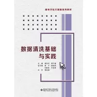 正版新书]数据清洗基础与实践谢东亮,黄天春主编9787560654607