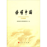 正版新书]读懂中国国家创新与发展战略研究会 国家创新与发展战
