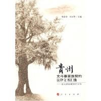 正版新书]贵州文斗陈金全9787010062648