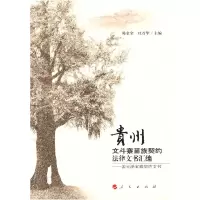 正版新书]贵州文斗陈金全9787010062648