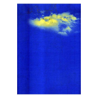 正版新书]放飞心情井然9787020097494