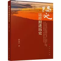 正版新书]阳光这样照进历史罗海岩9787010258461