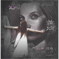 正版新书]巴西·涂鸦XY·寒9787104047667