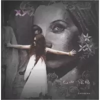 正版新书]巴西·涂鸦XY·寒9787104047667