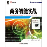 正版新书]商务智能实战/商务智能与信息化技术丛书(美)拉尔森978