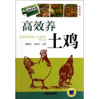 正版新书]高效养土鸡魏刚才//张遂平9787111440895