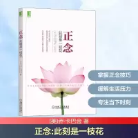 正版新书]正念 此刻是一枝花(美)乔·卡巴金 著 王俊兰 译9787111