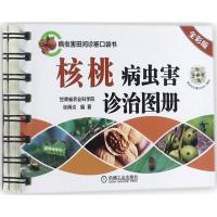 正版新书]核桃病虫害诊治图册(全彩版)张炳炎9787111569893