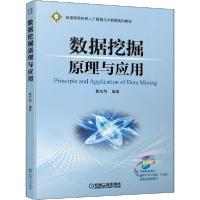 正版新书]数据挖掘原理与应用葛东旭9787111646396