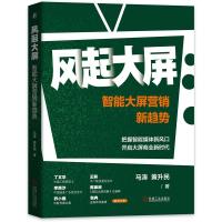 正版新书]风起大屏智能大屏营销新趋势马涛,黄升民9787111689133