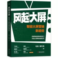 正版新书]风起大屏智能大屏营销新趋势马涛,黄升民9787111689133