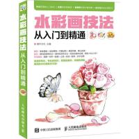 正版新书]水彩画技法从入门到精通灌木文化9787115433138