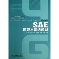 正版新书]SAE原理与网络规划周晴9787115321497