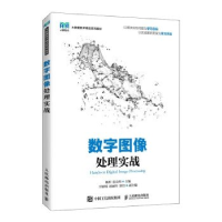 正版新书]数字图像处理实战杨坦,张良均9787115623850