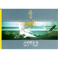 正版新书]吉祥野生鸟——绿太阳丛书张新泰9787200058383