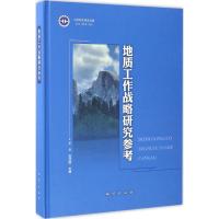 正版新书]地质工作战略研究参考(2010~2015年)王文97871160994