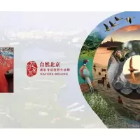正版新书]自然北京:我们身边的野生动物北京市野生动物救护中心
