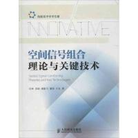 正版新书]空间信号组合理论与关键技术白琳9787115313355