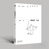 正版新书]执迷者手记朵渔著9787201193373