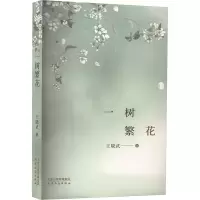正版新书]一树繁花王晓武 著9787201207643