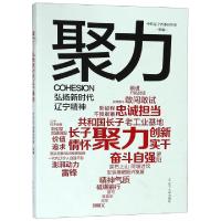 正版新书]聚力(弘扬新时代辽宁精神)刘玉玮9787205094553