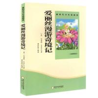 正版新书][2020年新版双色]新时代少年爱阅读---爱丽丝漫游奇