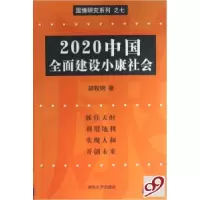 正版新书]2020中国全面建设小康社会/国情研究系列胡鞍钢9787302
