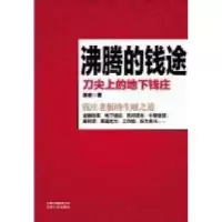 正版新书]沸腾的钱途:刀尖上的地下钱庄(钱庄老板的生财之道,世
