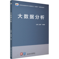 正版新书]大数据分析王道平,宋雨情9787301328507