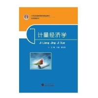 正版新书]计量经济学王超 李志伟9787307141292