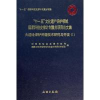 正版新书]大遗址保护关键技术研究与开发(Ⅰ十一五文化遗产保护