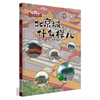正版新书]北京城,什么样儿李硕9787502071950