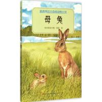 正版新书]母兔格日勒其木格·黑鹤9787501609772