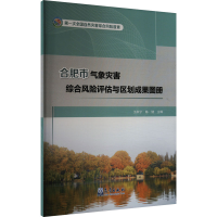 正版新书]合肥市气象灾害综合风险评估与区划成果图册王跃宁,陈