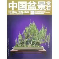 正版新书]中国盆景赏石:2012.8中国盆景艺术家协会9787503867262