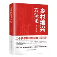 正版新书]全新正版 乡村振兴方法论王立胜 著9787503570704