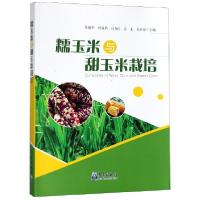 正版新书]糯玉米与甜玉米栽培张建华//时成俏//马春红//姜龙//吴