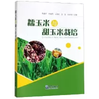 正版新书]糯玉米与甜玉米栽培张建华//时成俏//马春红//姜龙//吴