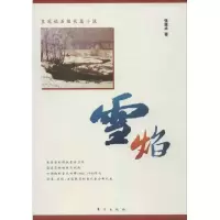 正版新书]雪焰张建术9787506055437