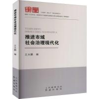 正版新书]推进市域社会治理现代化王大鹏 编9787505149861