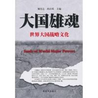 正版新书]大国雄魂世界大国战略文化姚有志9787506560870