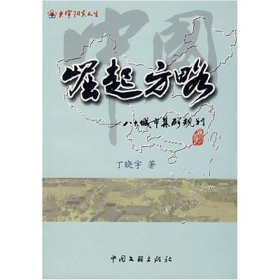正版新书]中国崛起方略:八大城市集群规划丁晓宇9787505956070